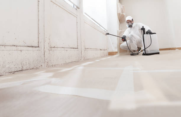 24/7 Emergency Attic Mold Removal experts in Union City, GA